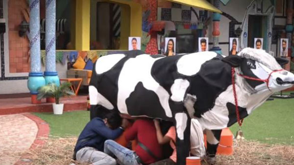 ఫినాలే టిక్కెట్..