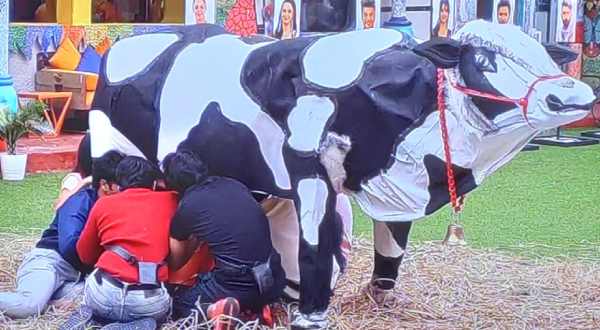 పాలు పట్టుకోవడంలో గందరగోళం