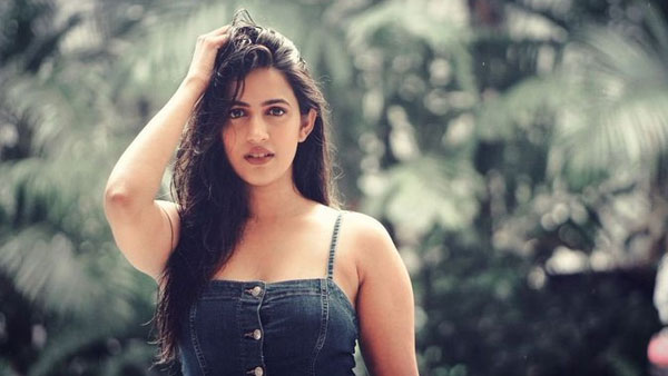 పెళ్లితో సినిమాలకు బ్రేక్..
