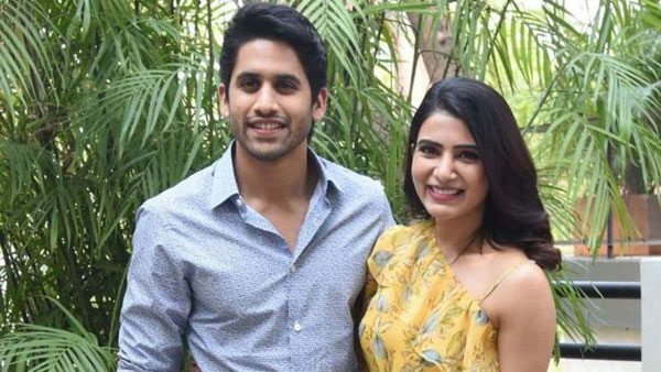 మజిలీ సూపర్ హిట్..