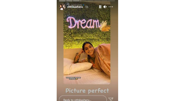 పునర్నవి సందడి..