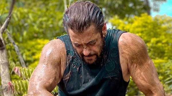 Salman Khan reaction on Farmers Protest at Delhi boarder Salman Khan reaction on Farmers Protest at Delhi boarder