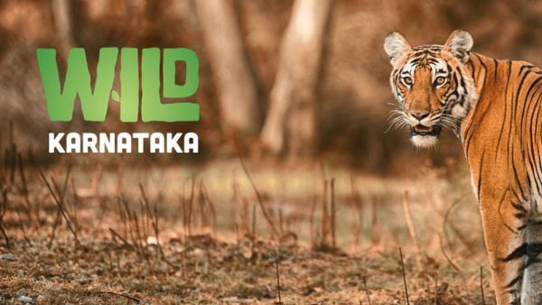నాన్ ఫీచర్ ఫిలిం అవార్డు కేటగిరీలో