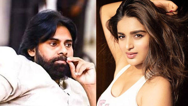 పవన్ కల్యాణ్ మూవీలో నా పాత్ర ఏమిటంటే...