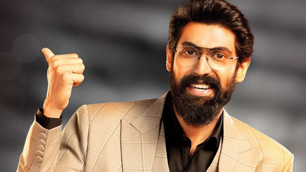 హై రేంజ్ లో రేటింగ్