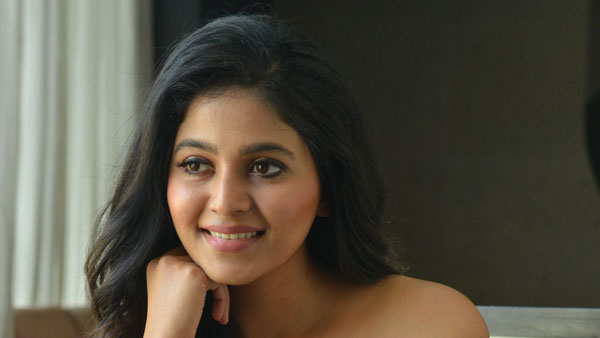 పింక్ సినిమాతో పోలికలే ఉండవు