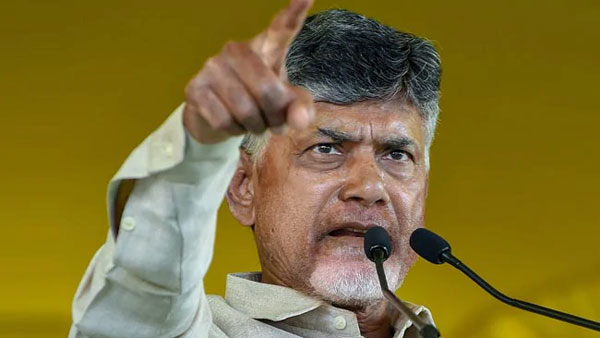 ‘వకీల్ సాబ్'పై చంద్రబాబు కీలక వ్యాఖ్యలు