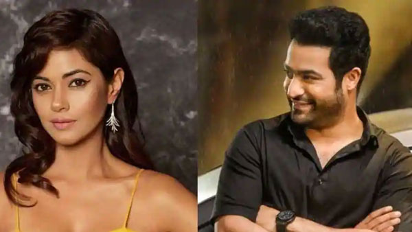 ఎన్టీఆర్పై అనుచిత వ్యాఖ్యలు