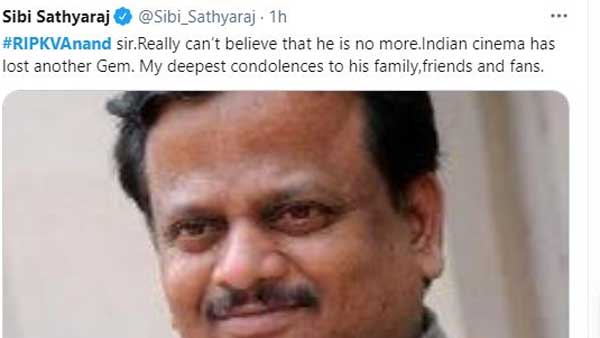 ఇంకా నమ్మలేకపోతున్నాను..