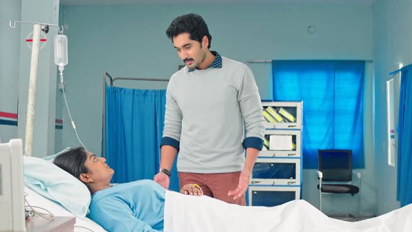 రెండు యాపిల్స్ పట్టుకొని