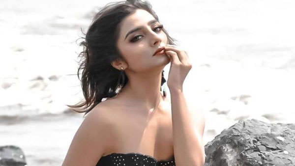 ఇప్పటికే సెలబ్రిటీల ఆడిషన్స్ పూర్తి