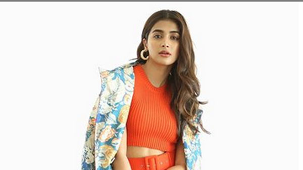 సుశాంత్, పూజా హెగ్డే కెరీర్