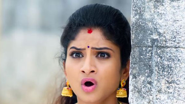 మల్లిక గుండెల్లో రాయి