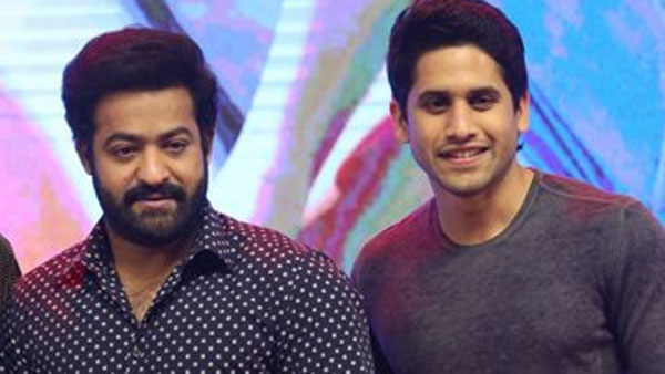 ఆ ఒక్క కారణం వల్ల ఎన్టీఆర్ వెనుకడుగు..
