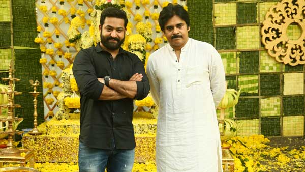 పవన్ కళ్యాణ్ - ఎన్టీఆర్