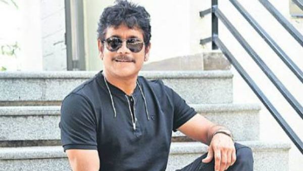Big Set For Akkineni Nagarjuna - Praveen Sattaru Movie Big Set For Akkineni Nagarjuna - Praveen Sattaru Movie