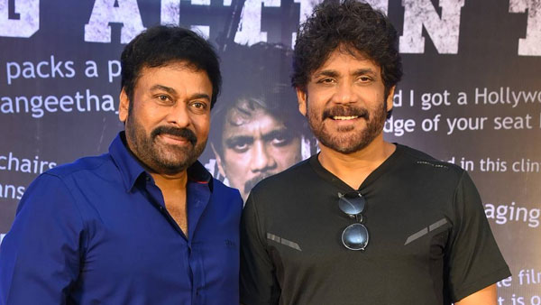 నాగార్జున - చిరంజీవి