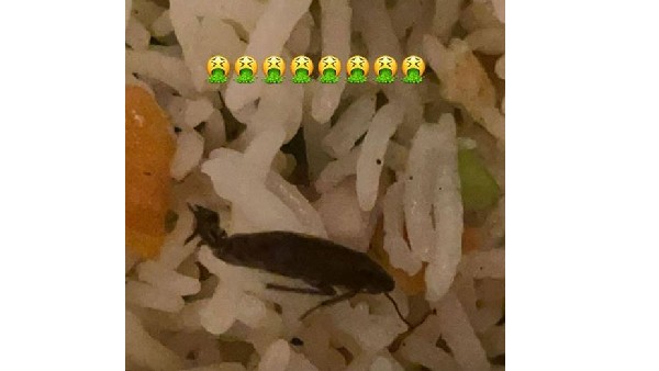 ఫుడ్ లో ఒక బొద్దింక