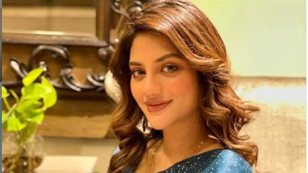 లోక్సభను తప్పుదోవ పట్టించారని...
