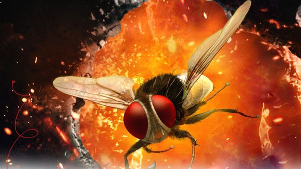 జనాలు చూస్తే తప్పకుండా తిట్టేవారట