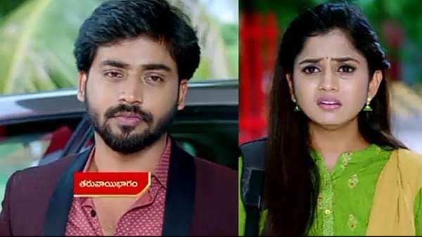 వసుధారకు రిషి సలహా.. నో అని