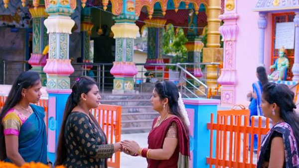 పరీక్షల్లో సెకండ్ ర్యాంక్