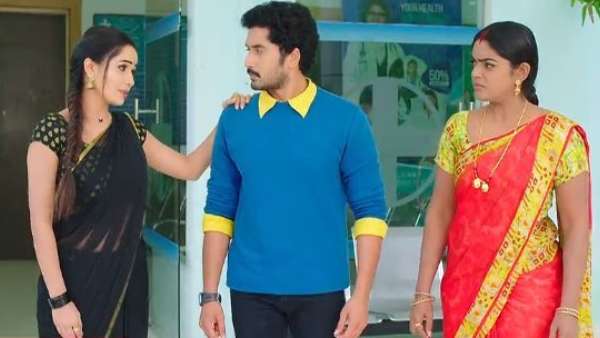 నువ్వంటే నాకు పిచ్చే