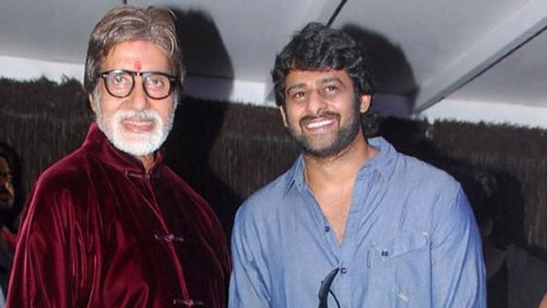 హైదరాబాద్లోనే అమితాబ్