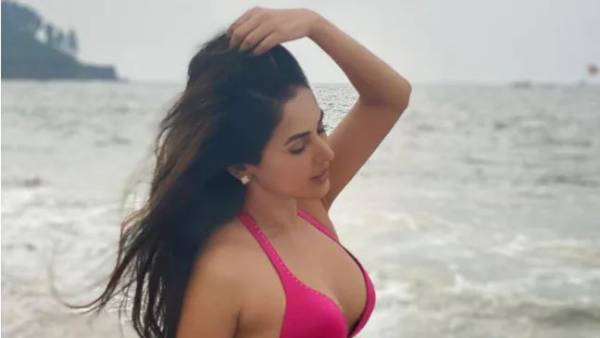 అలా పరిచయం... ఇలా పాపులార్