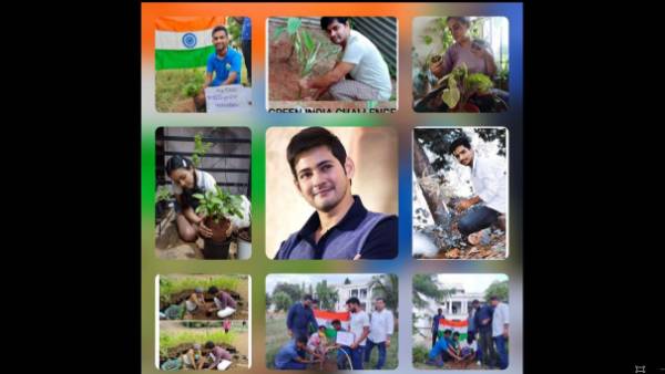 Mahesh babu fans birthday celebrations with good works Mahesh babu fans birthday celebrations with good works