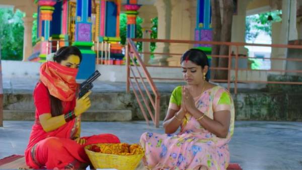 నీ మృత్యువును వెతుక్కొంటూ