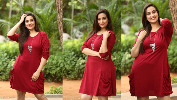 అలా మొదలైన కెరీర్.. బుల్లితెర ఎంట్రీ