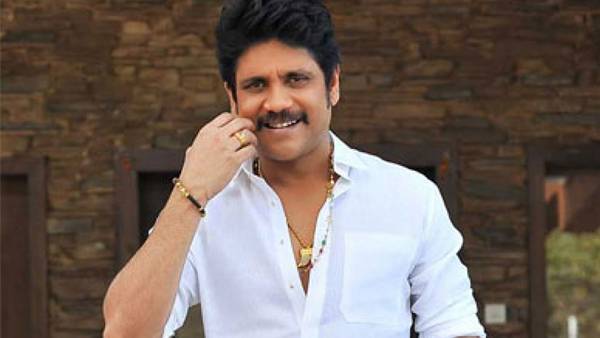 Akkineni Nagarjunas Bangarraju Shooting Start From August 16th Akkineni Nagarjunas Bangarraju Shooting Start From August 16th