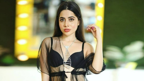 మద్దతు ఇవ్వలేదు