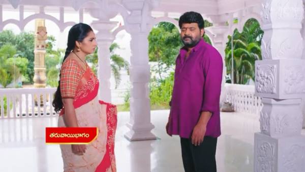 నిన్న ఏమైందంటే