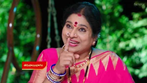 గుమ్మడికాయ ప్లానూ ఫెయిలే
