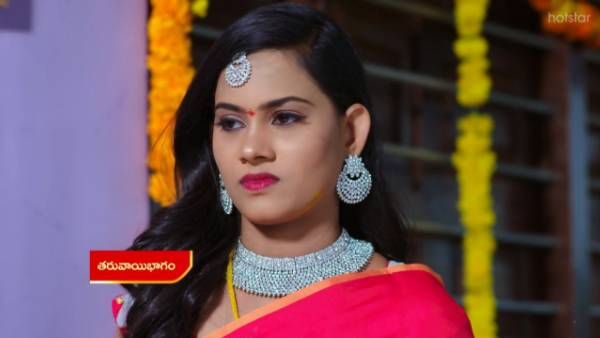 అక్క లేదు తొక్క లేదు