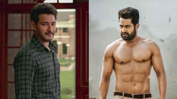 జూనియర్ ఎన్టీఆర్ - మహేష్ బాబు