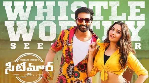 ‘సీటీమార్' కొట్టాలని వచ్చిన గోపీచంద్