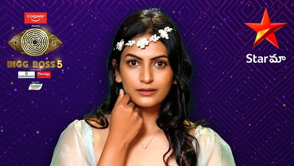 హమీదాపై శ్వేతా వర్మ ఎటాక్