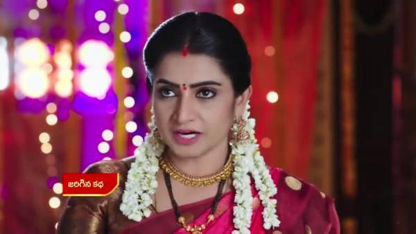 శిల్ప నట విశ్వరూపం