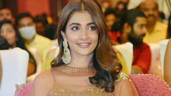 హీరోయిన్ని అతిథిగా అంటూ పూజా హెగ్డే