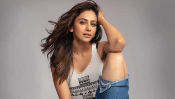 సౌత్, నార్త్ లో బిజీగా..