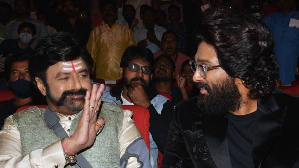నాకు అండగా నిలిచిన అల్లు అర్జున్, బాలయ్య
