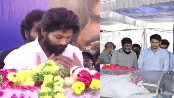 అనుబంధాన్ని పంచుంటున్నారు