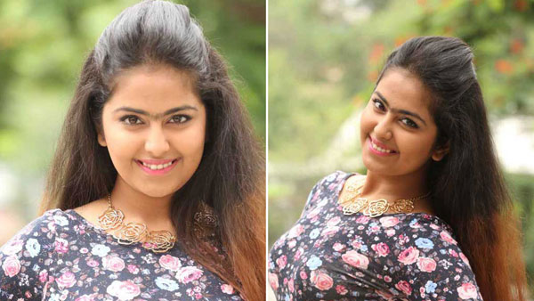 బాక్సాఫీస్ హిట్స్