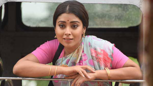 అన్ని చోట్లా సందడి చేసింది