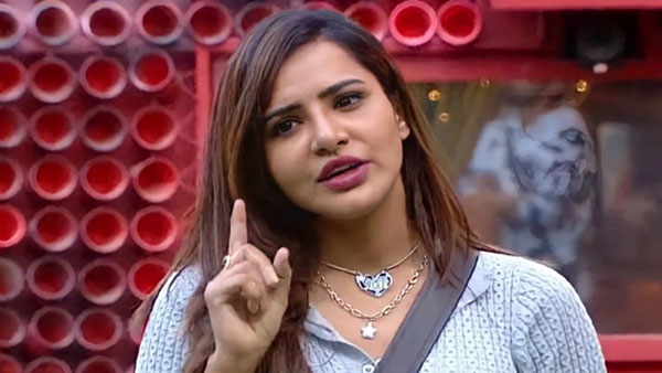 బోల్డుగా ఉంటూ సందడి చేసి