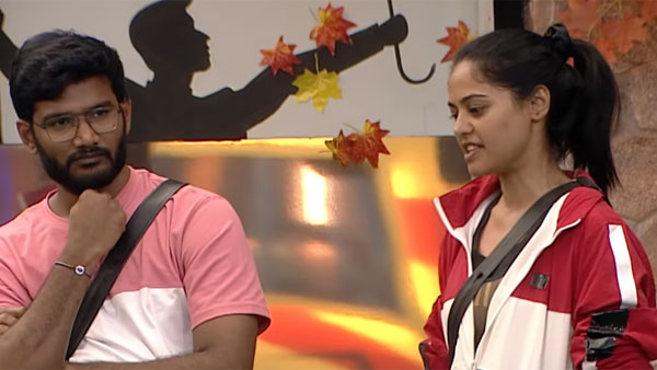 అరియానా లైక్స్ దోచేసిన శివ