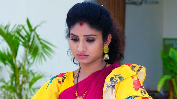 రెచ్చగొట్టిన మల్లిక